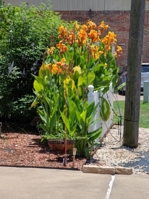 Granbury Gardens Bed and Breakfast - image 15