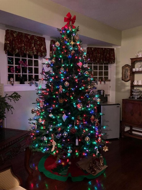 Granbury Gardens Bed and Breakfast - image 24