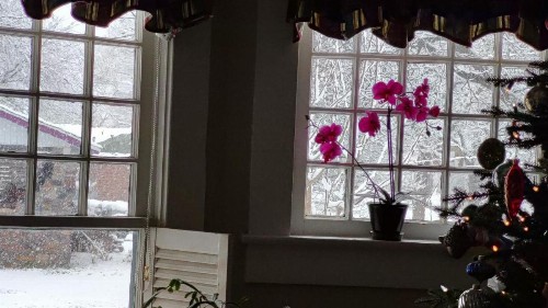Granbury Gardens Bed and Breakfast - image 30