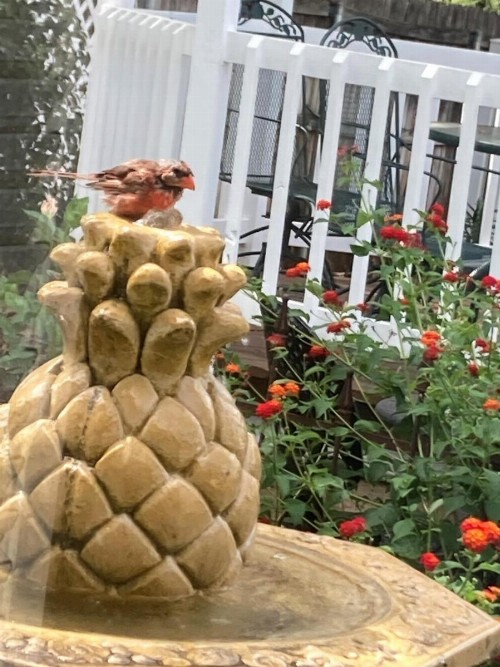Granbury Gardens Bed and Breakfast - image 32