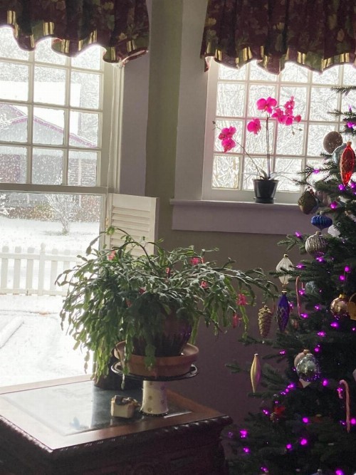 Granbury Gardens Bed and Breakfast - image 41