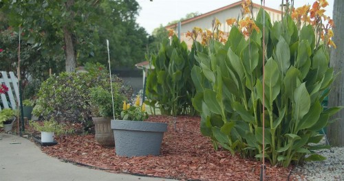 Granbury Gardens Bed and Breakfast - image 5