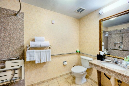 Holiday Inn Express and Suites Granbury an IHG Hotel - image 23