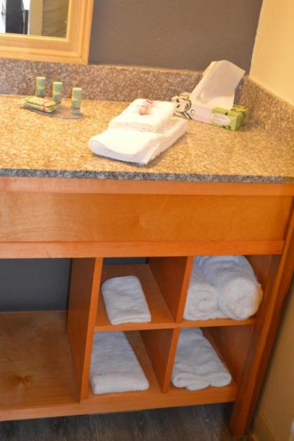 Lake View Inn - image 11