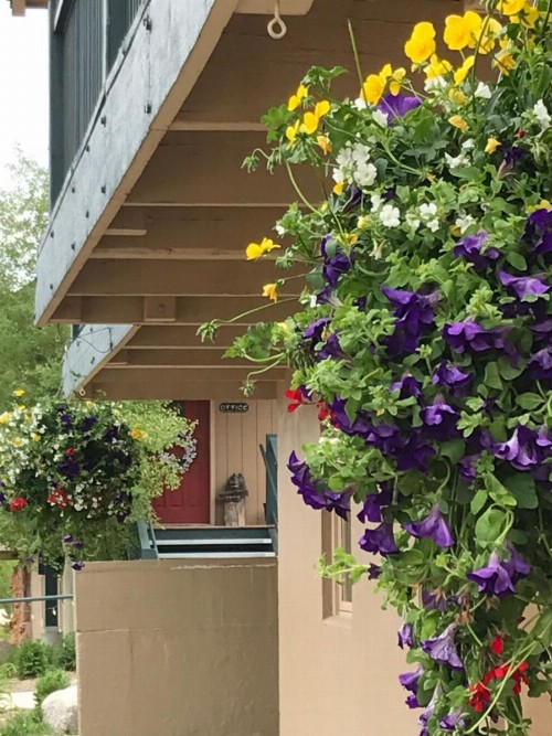 Hideaway Mountain Lodge - image 13