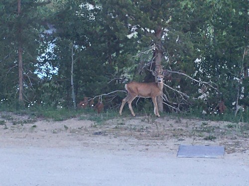 Hideaway Mountain Lodge - image 24