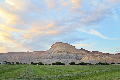 Holiday Inn Express Hotel & Suites Grand Junction an IHG Hotel - image 22