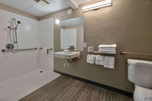 Mesa Inn Grand Junction - image 8
