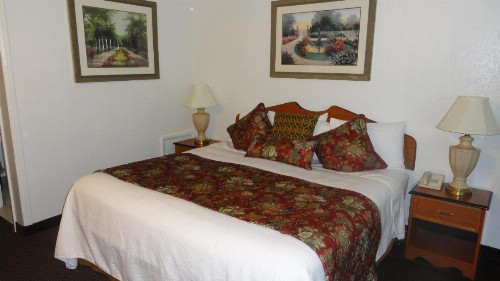 Grand Junction Palomino Inn - image 1