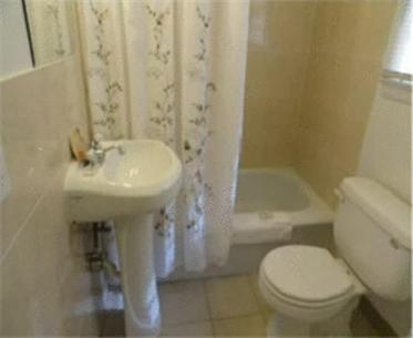 Grand Junction Palomino Inn - image 5