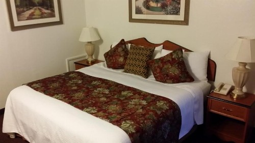 Grand Junction Palomino Inn - image 8