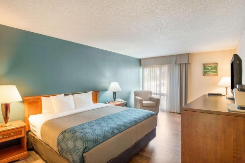 Econo Lodge Grand Junction - image 9