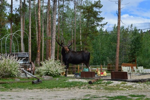 Daven Haven Lodge & Cabins - image 11