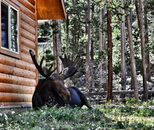 Daven Haven Lodge & Cabins - image 2