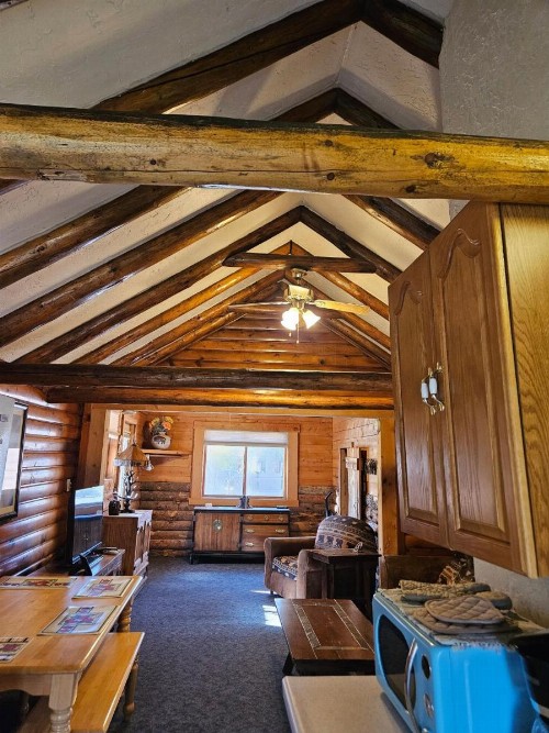 Daven Haven Lodge & Cabins - image 4