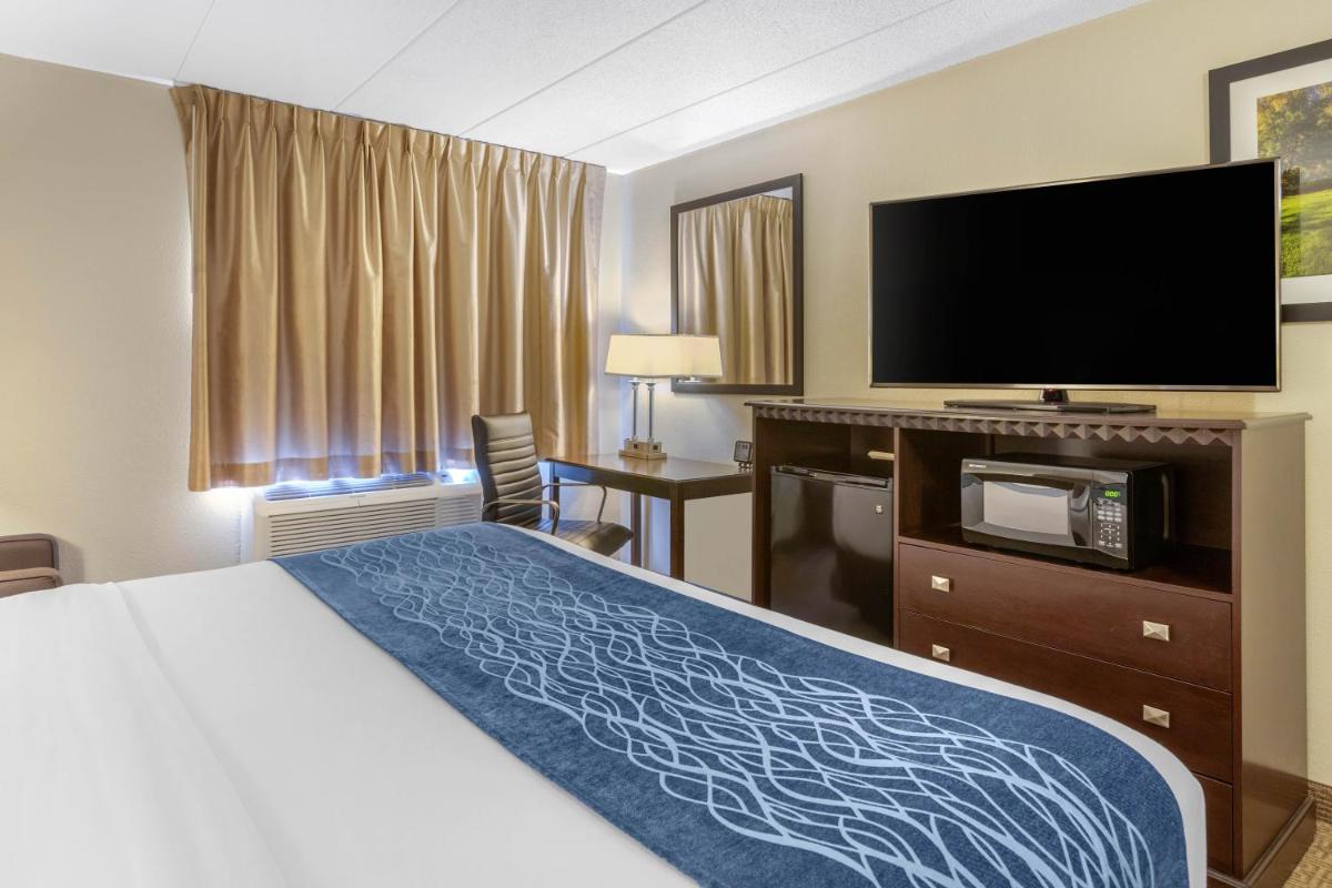Comfort Inn Airport Grand Rapids - image 2