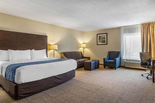 Comfort Inn Airport Grand Rapids - image 21