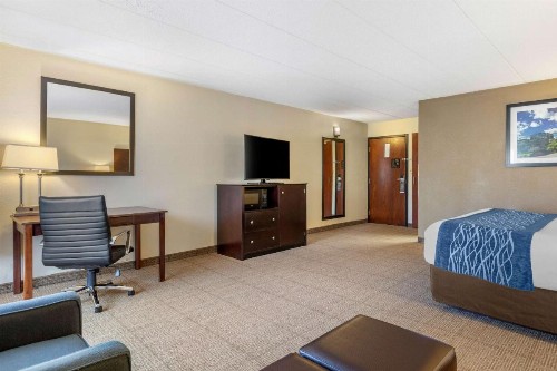 Comfort Inn Airport Grand Rapids - image 27