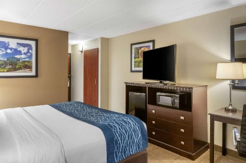 Comfort Inn Airport Grand Rapids - image 35