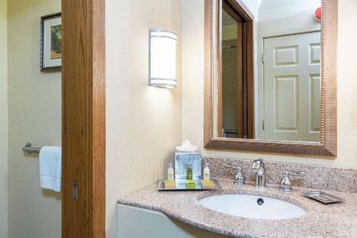 DoubleTree by Hilton Grand Rapids-Airport - image 15