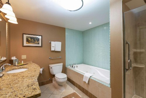 DoubleTree by Hilton Grand Rapids-Airport - image 26