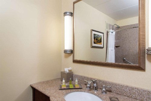 DoubleTree by Hilton Grand Rapids-Airport - image 29