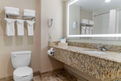 Best Western Executive Inn & Suites - image 16