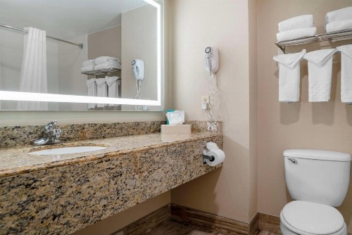 Best Western Executive Inn & Suites - image 39