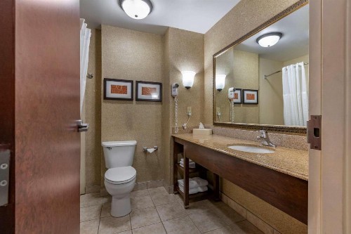 Comfort Suites Grand Rapids South - image 24