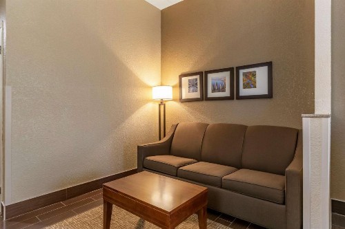 Comfort Suites Grand Rapids South - image 29