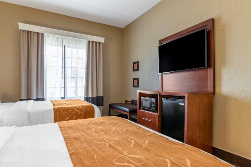 Comfort Suites Grand Rapids South - image 30