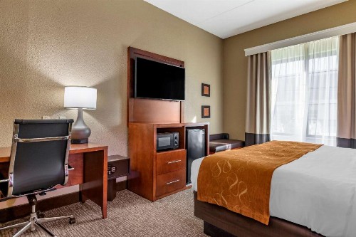 Comfort Suites Grand Rapids South - image 8