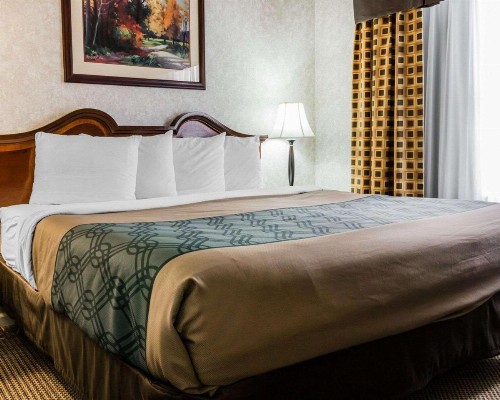 Econo Lodge Inn & Suites - image 13