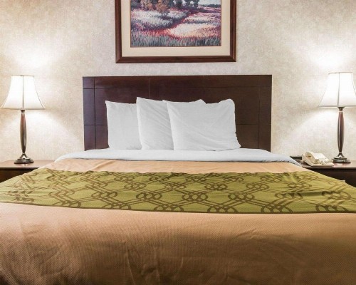 Econo Lodge Inn & Suites - image 14