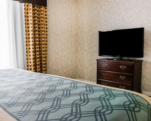 Econo Lodge Inn & Suites - image 8