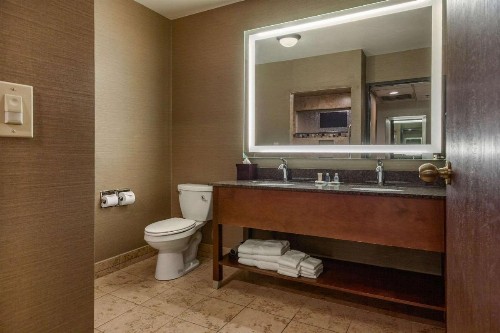 Comfort Suites Green Bay - image 12