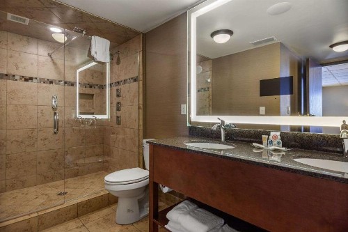 Comfort Suites Green Bay - image 18