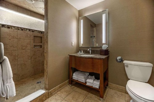 Comfort Suites Green Bay - image 36