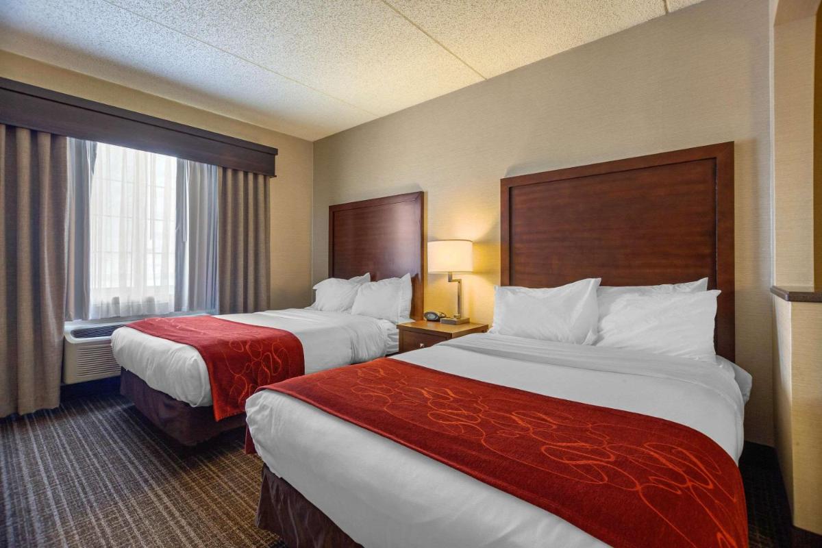Comfort Suites Green Bay - image 4