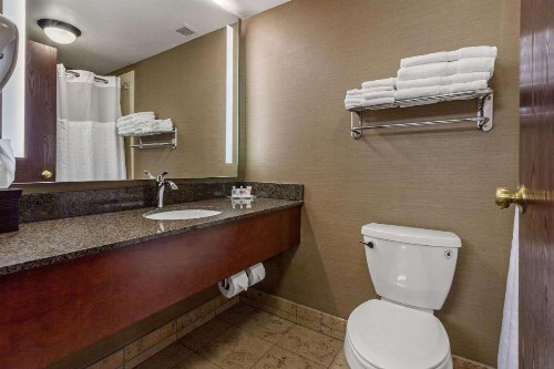 Comfort Suites Green Bay - image 43