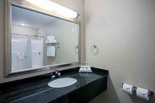 Holiday Inn Express & Suites - Green Bay East an IHG Hotel - image 4