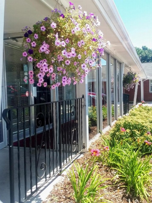 Bay Motel - image 6