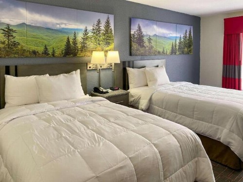 Ramada by Wyndham-Greensboro - image 8