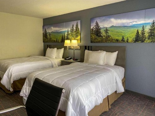 Ramada by Wyndham-Greensboro - image 10