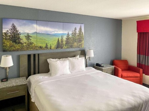 Ramada by Wyndham-Greensboro - image 16