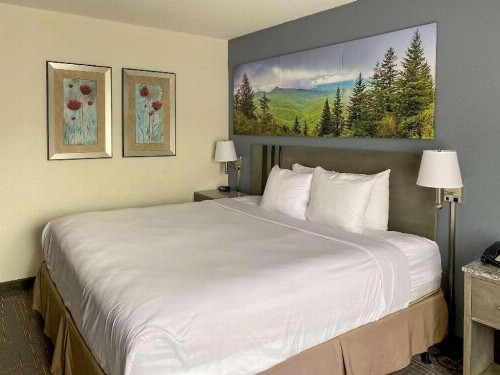 Ramada by Wyndham-Greensboro - image 19