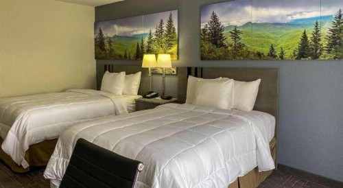 Ramada by Wyndham-Greensboro - image 20