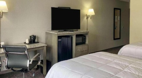 Ramada by Wyndham-Greensboro - image 22