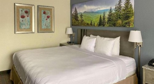 Ramada by Wyndham-Greensboro - image 25