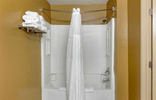 Extended Stay America Suites - Greensboro - Wendover Ave - Big Tree Way - image 19